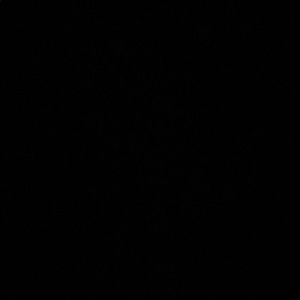 Meet your Posher, Karli